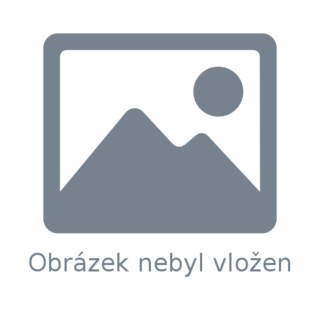 Vyplacení exekuce v Ostravě